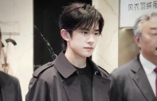 国产欧美日本免费一级视频,内容概览与行业洞察