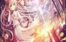 国产13页,揭秘我国科技发展的新篇章